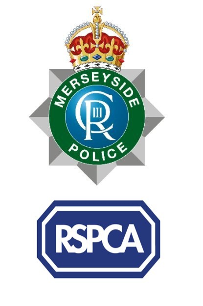 Merseyside Specials tweet media