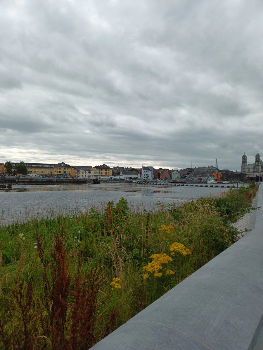 marie_librarian's tweet photo. In Athlone for #graphmed24. Exciting to read today's pre-conference tweets. My colleagues @JaneBuggle, Michael Connerty & I, are looking forward to being involved in the publication of Conference proceedings with @JMBurns99, TUS staff & editors of the Graphic Medicine Review. https://t.co/2VI5c12rfq