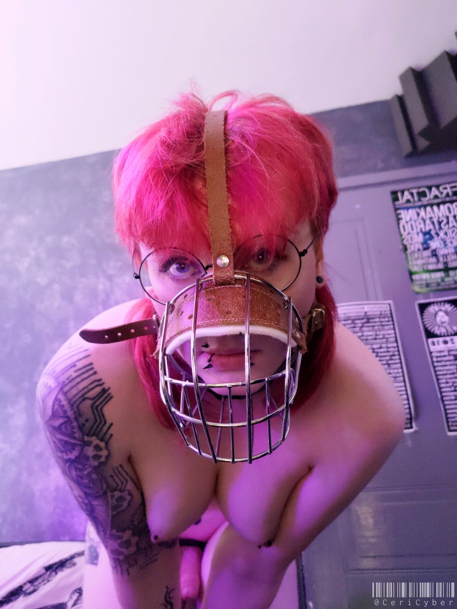 CeriCyber's tweet photo. Can you take this muzzle off? I totally promise i wont bite or anything 🥺 https://t.co/rqtTdgqDuv