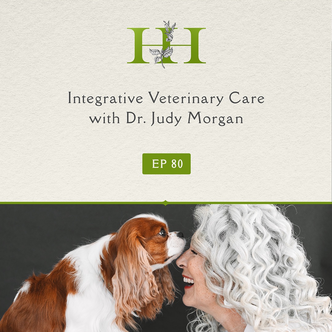 Michelles_HH's tweet photo. Premiers today at 4 pm pst! 

https://t.co/eN8JqcKaIB

#holisticpetcare 
#PetCare https://t.co/ARg1mdKCH5