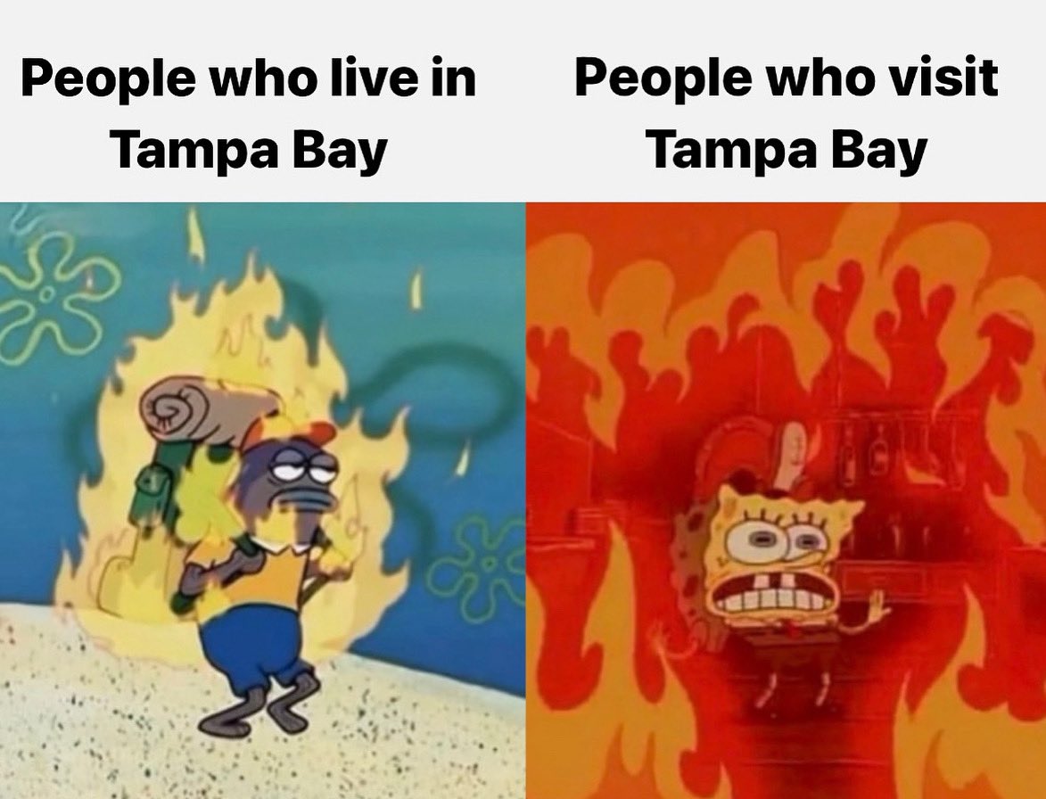 FlyTPA's tweet photo. Guess we’re just built different 😤😤 https://t.co/CKrJCJ3GxN