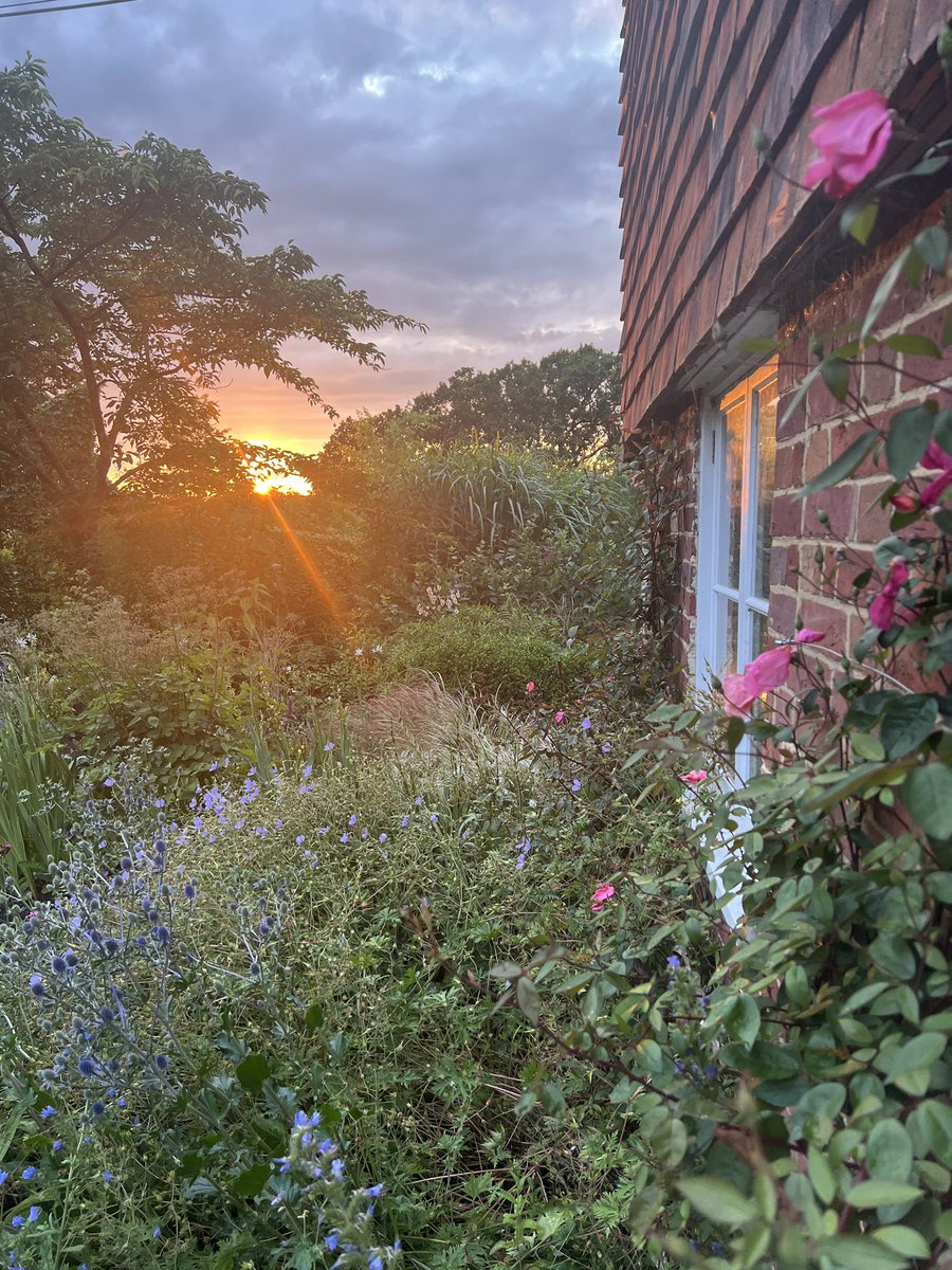 PelhamPlants's tweet image. Visit our garden…1st &amp;amp; 3rd August @SussexNGS booking essential findagarden.ngs.org.uk/garden/42454/r…
#opengarden #charityopengarden #nationalgardenscheme #sussexgardens #gardensofsussex #gardener #gardeners #sussexgardeners
#summergarden #pelhamplants #pelhamplantsnursery