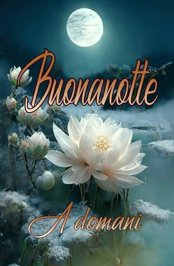 RITABIANCHi56 tweet media