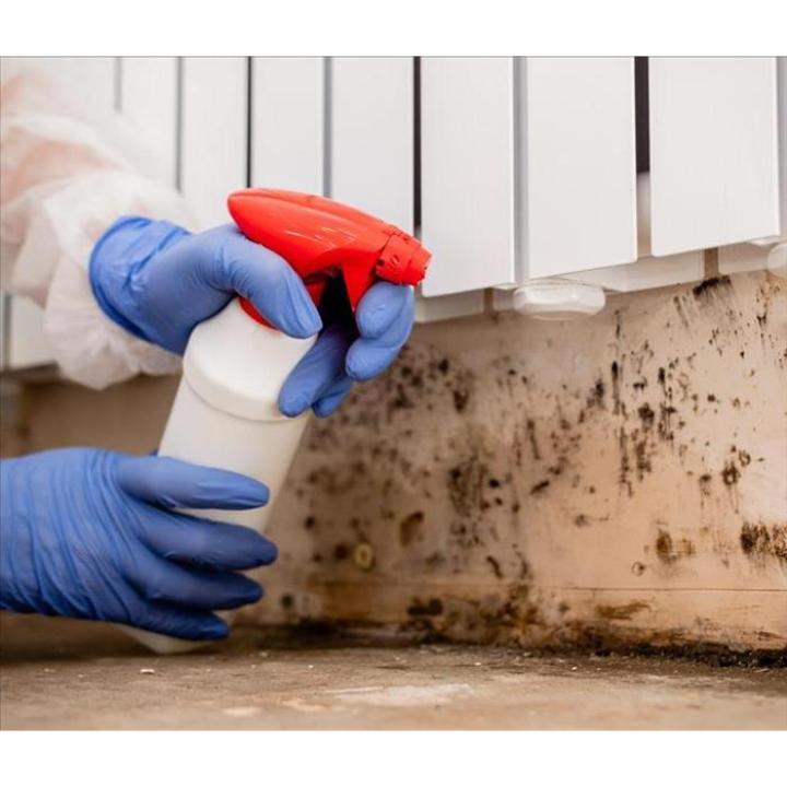 servproswsenwgr's tweet photo. How do professionals keep mold from spreading during removal? Uncover the importance of proper containment measures. Call us today for expert service in Grand Rapids at (616) 662-9700. 
https://t.co/8Ut5IM9PjU https://t.co/vk7GR4dOlJ