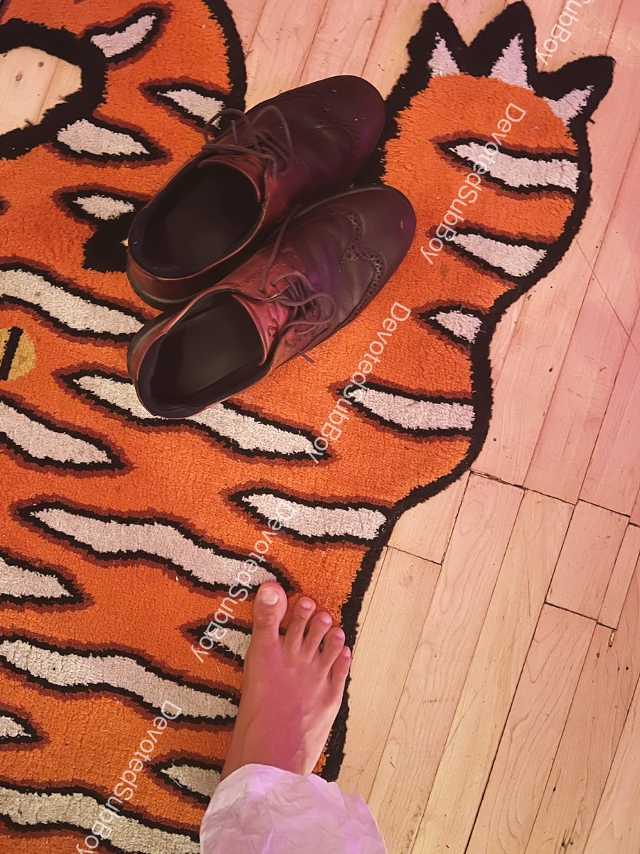 DaizosBoy's tweet photo. What should I do? 😳
Guest arrived drunk in his soaked leather shoes… 🫣🫣🫣
I will never admit it but the inside of them smell like heaven, perfect balance of a whole day sweat playing golf and wet grass… 🥵🥵🥵
#EccoShoes
#EccoLeather
#EccoStyle
#EccoComfort
#LeatherShoes https://t.co/yiMs2QFaMK