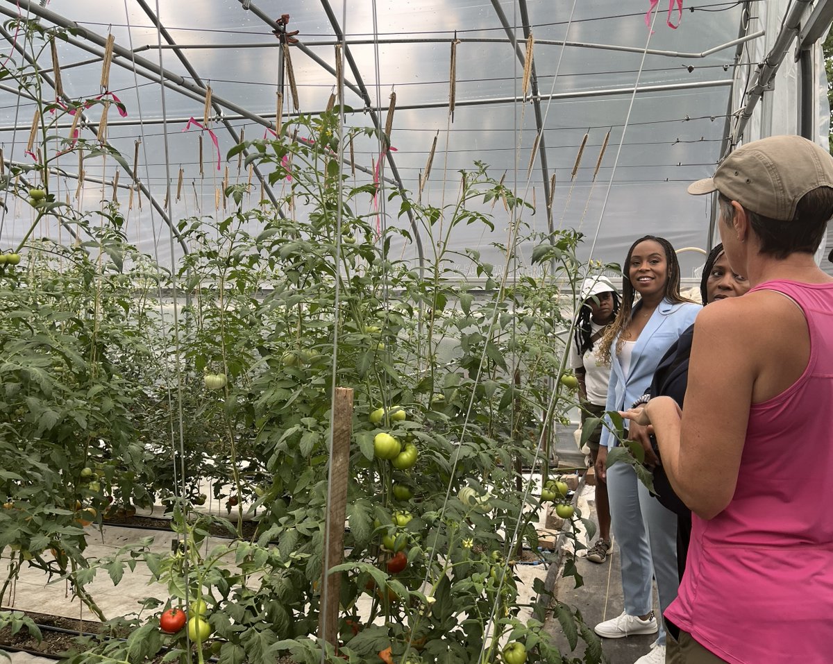 Rep. Shontel Brown tweet media