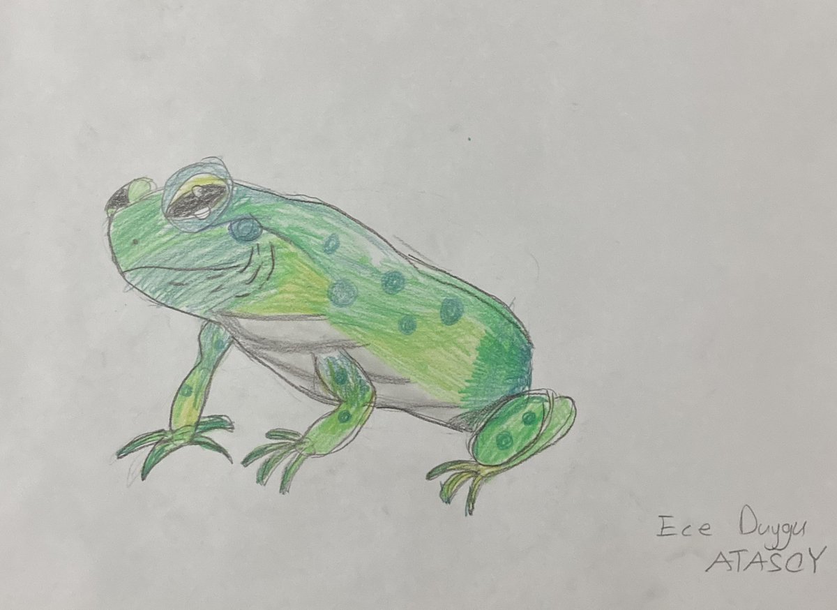 Çizi-yorum . @TubitakBCocuk #bilimçocuklaçiziyorum