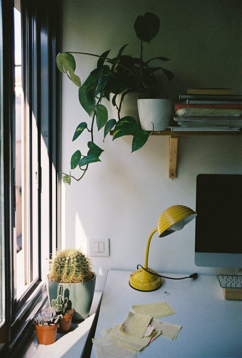 My cave.
#analogphotography