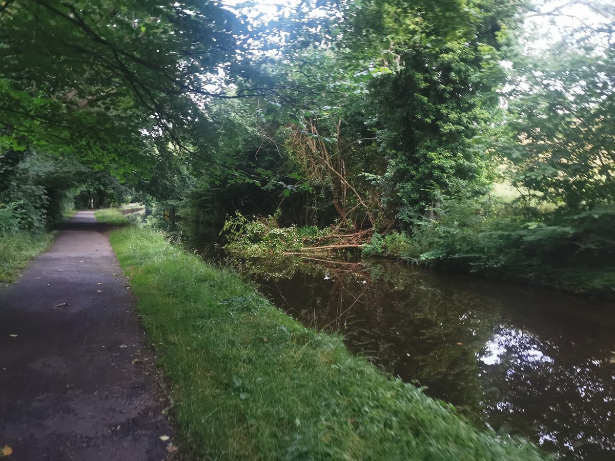 chorsley986's tweet photo. @CanalRiverTrust trees blocking canal https://t.co/cnmaaDENOL