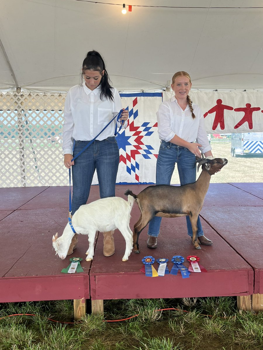 Karissa Kester tweet media