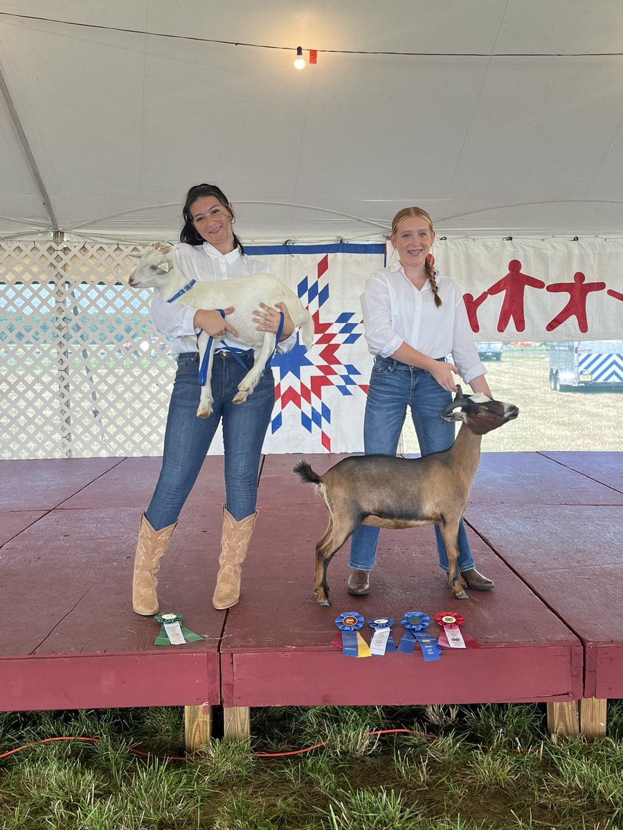 Karissa Kester tweet media