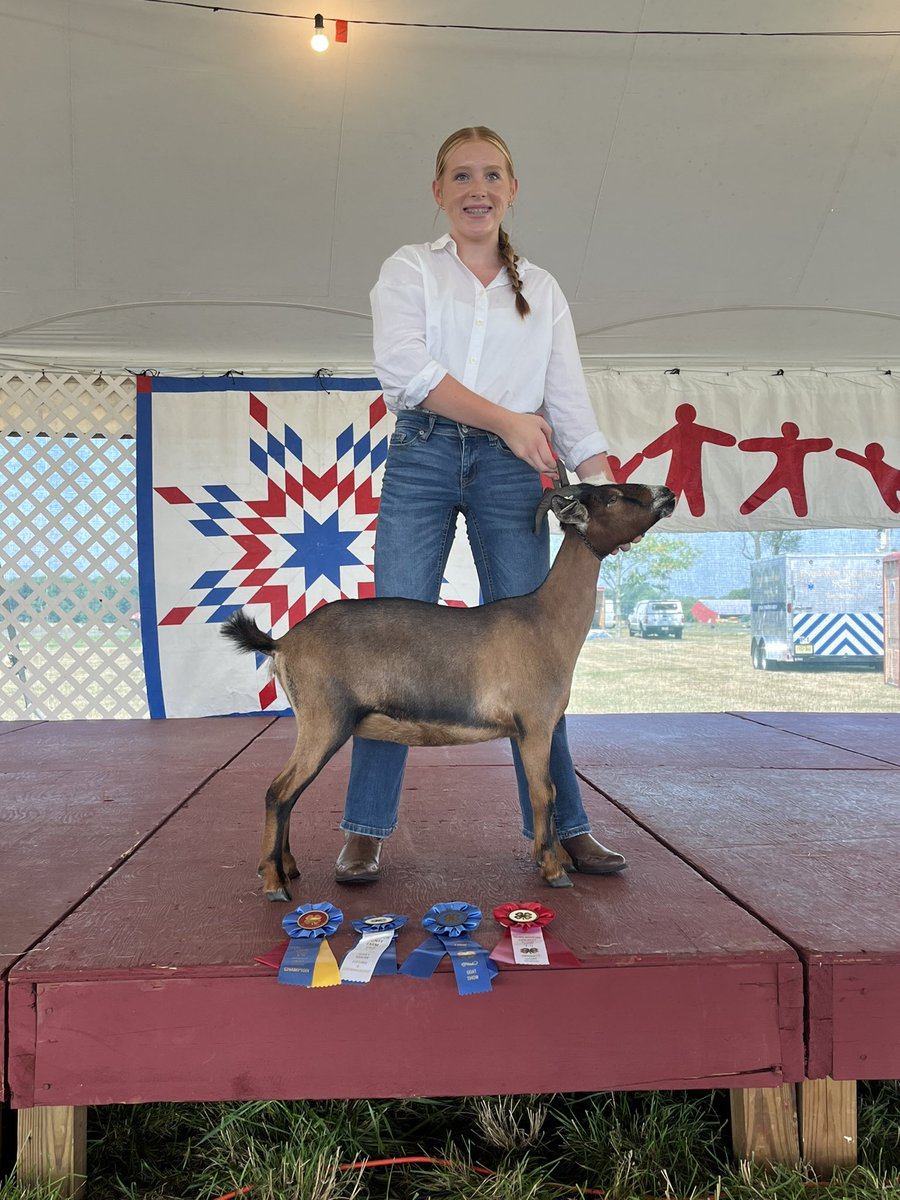 Karissa Kester tweet media