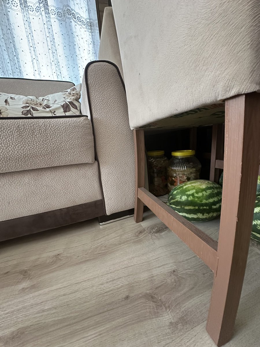 Adana ne kadar sıcak olabilir ki? Bozulmasın diye klima altında karpuz ,turşu ,zeytin ve bilimum erzaklarla evin salonunda birlikte yaşıyoruz 🥵 yakında kendimi derin dondurucuya kilitlemeyi düşünüyorum #Adana