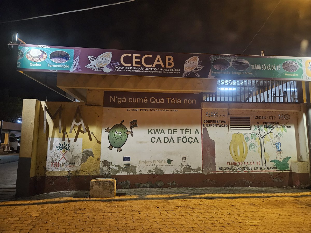 JoachimSteffen's tweet photo. The annual conference of the Association of Portuguese and Spanish-Lexified Creoles (ACBLPE) in São Tomé was a true highlight, featuring a laid-back but focused atmosphere. One of the nicest linguistic meetings imaginable.
Thanks to the organizers and hosts of São Tomé. https://t.co/n4fTDtsfp4