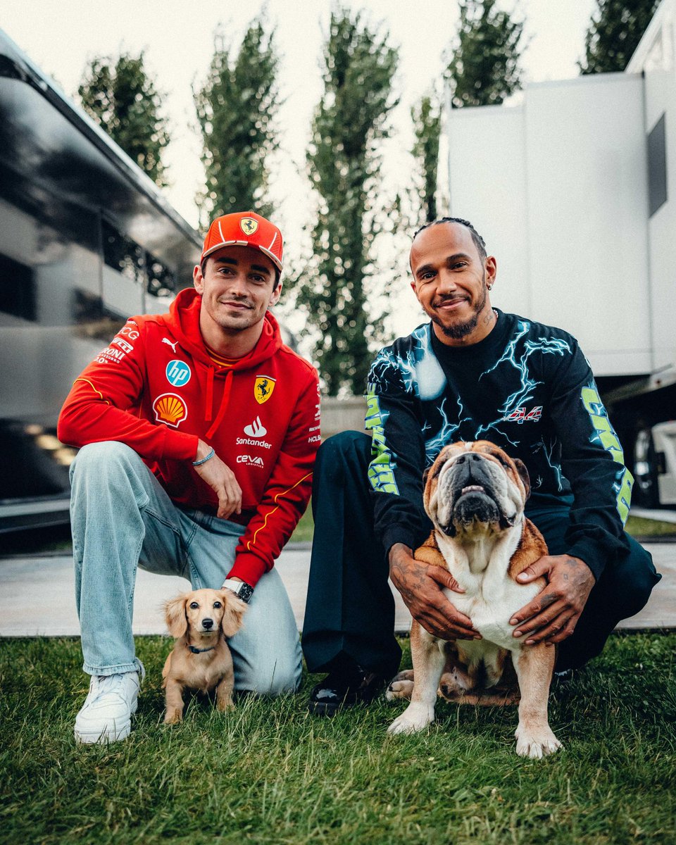 Charles Leclerc tweet media