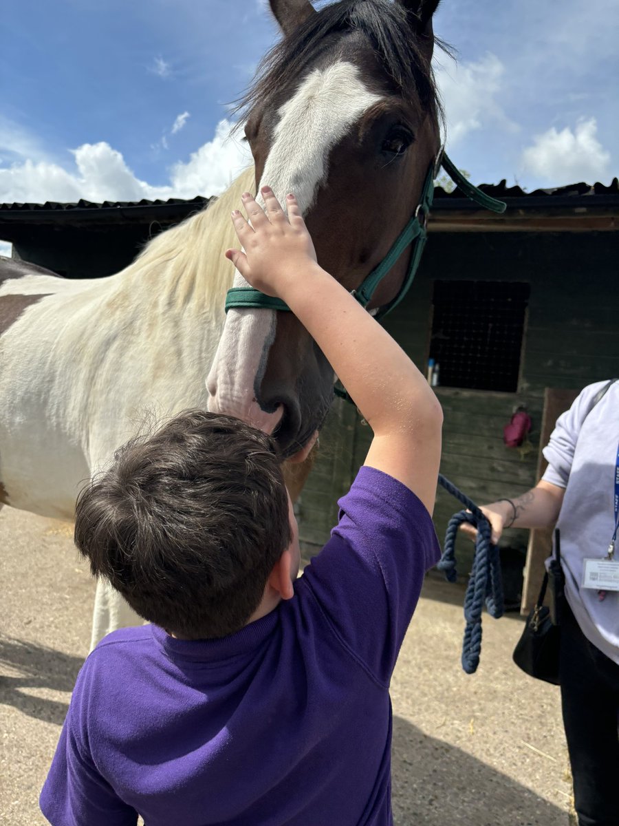 SHAPilotproject's tweet photo. Day 2 of activity week⭐️
Pupils got to visit a very special animal owned by their class LSA. They took turns grooming, feeding and finding out lots of information about this gentle giant✨
#activityweek #horse #animal #primary #SEMH #MPP #SHA https://t.co/47aotmyooG