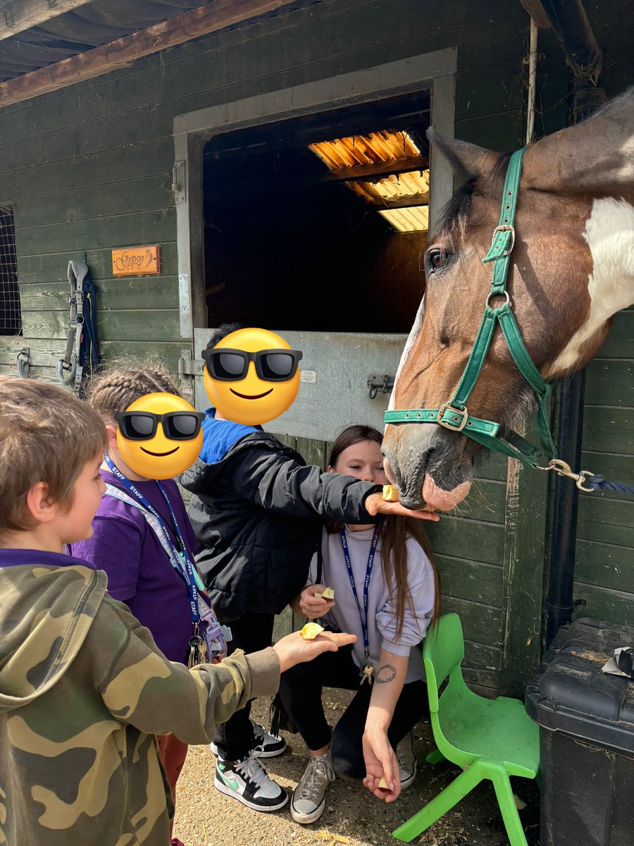 SHAPilotproject's tweet photo. Day 2 of activity week⭐️
Pupils got to visit a very special animal owned by their class LSA. They took turns grooming, feeding and finding out lots of information about this gentle giant✨
#activityweek #horse #animal #primary #SEMH #MPP #SHA https://t.co/47aotmyooG