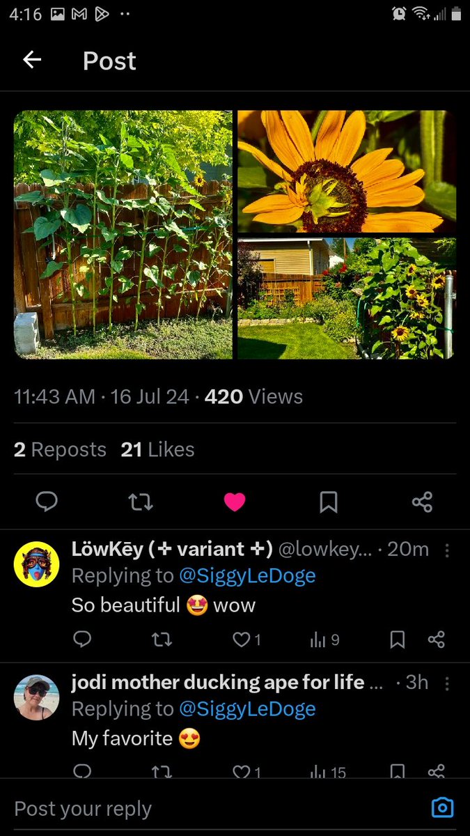 crazyspeed89's tweet photo. @SiggyLeDoge https://t.co/If7nGNdMB5