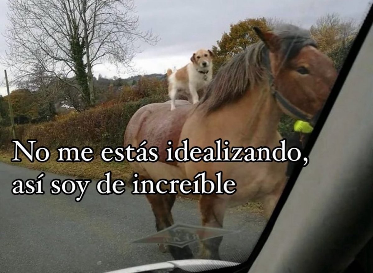 conoloracigarro's tweet photo. https://t.co/PHhqmAVJRv