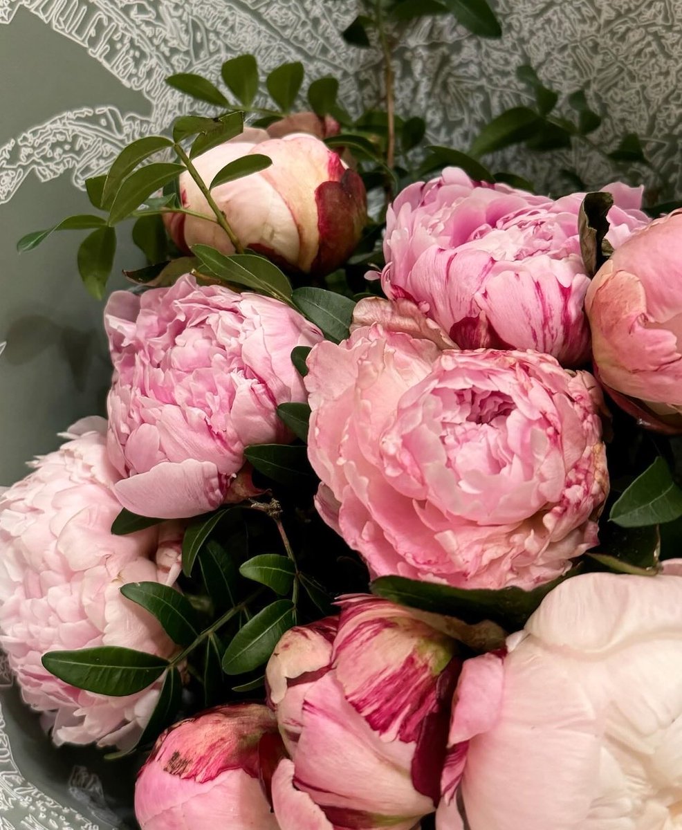 hnd_alh's tweet photo. انت وحدك من ملك قلبي وبابه 
  يوم غيرك مالقى للحب باب 

كن قلبي طير وأشواقي سحابه 
ومن يلوم القلب أن حبك وذاب🤍 https://t.co/CaAvNAHHhf