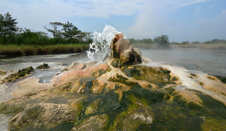 EyeRidesVenture's tweet photo. Explore Semuliki National Park in Uganda: Africa's ancient lowland tropical forest boasting 441 bird species and 53 mammals. Discover hot springs, diverse wildlife, and cultural richness. 

Contact us: https://t.co/Kky6MfAPlr 

#UgandaWildlife #VisitUganda #ToursAndTravels https://t.co/TIqgN0J4X2