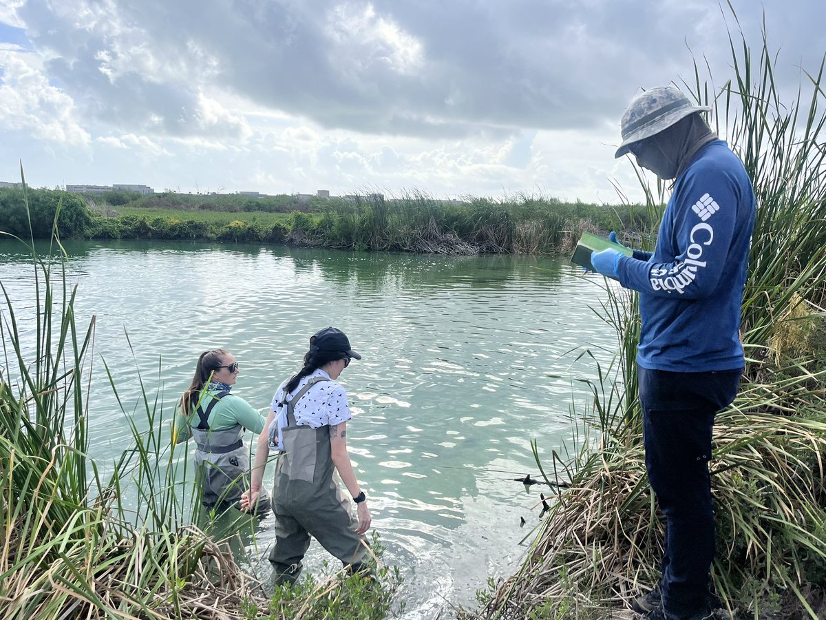 Nielsen Lab tweet media