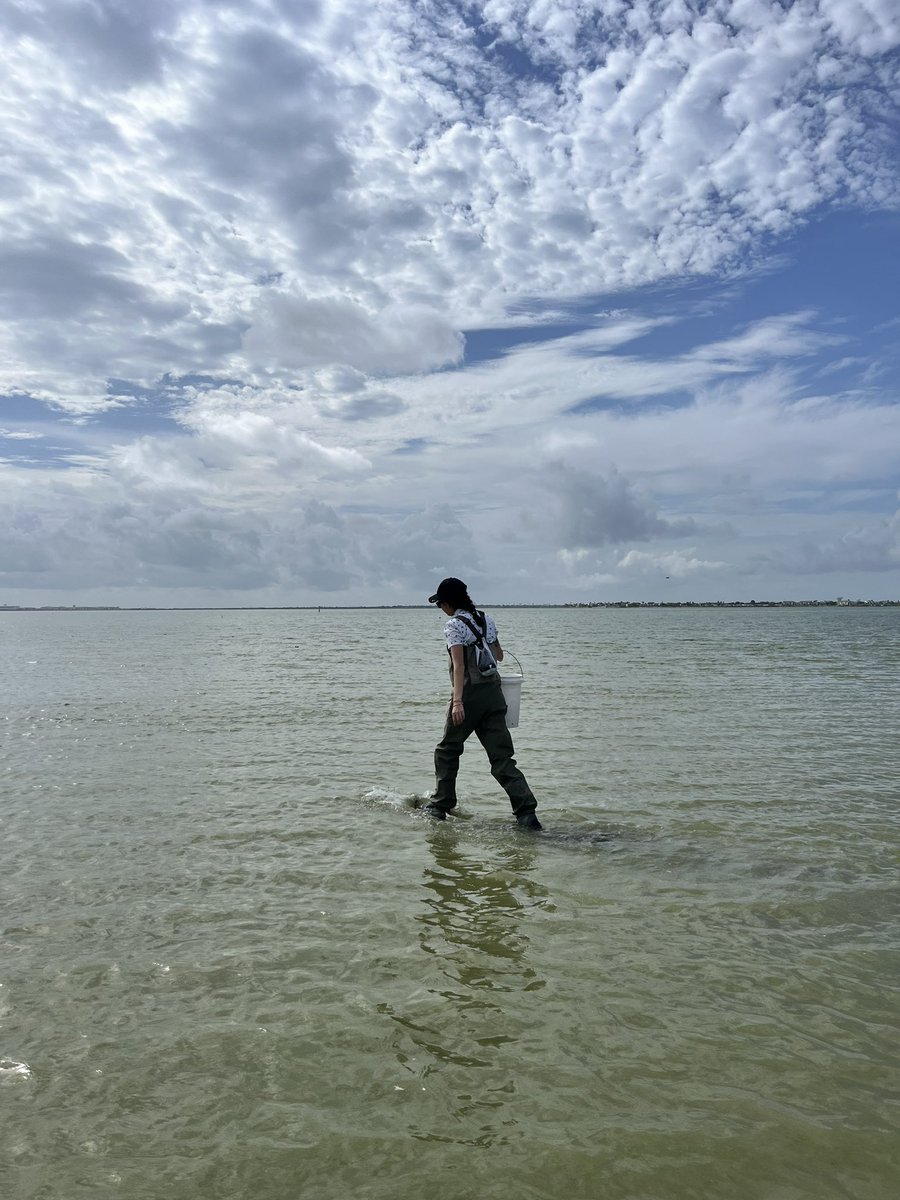 Nielsen Lab tweet media