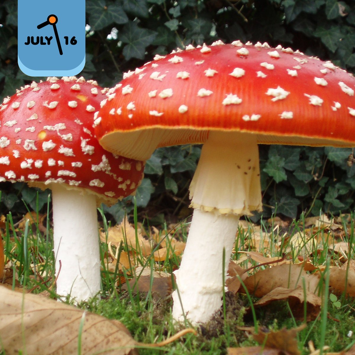 2024.07.16: Thought Crimes
Ashley goes heisty-type while Burnie laments being dragged into life of crime. Box office numbers, gladiators, ticket hacks, and animated film controversy

Spotify: open.spotify.com/episode/5wehun…
Apple: podcasts.apple.com/us/podcast/202…
Linkdump: morningsomewhere.com/2024/07/16/202…