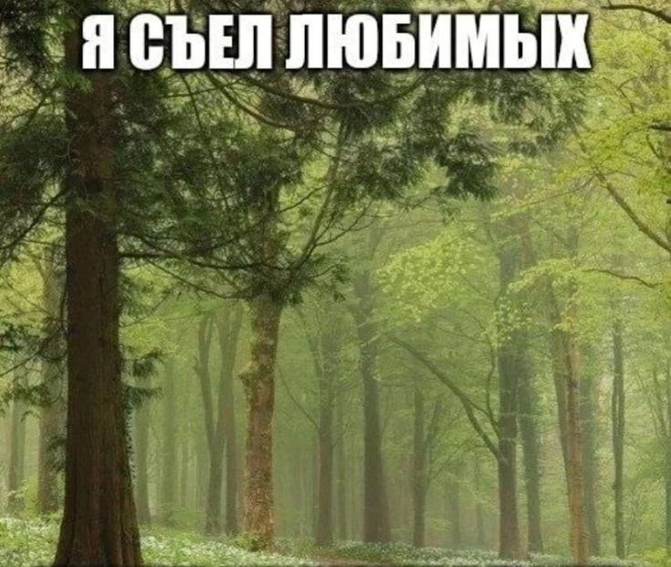 Простите, я не могу больше молчать, это признание далось мне очень тяжело, но