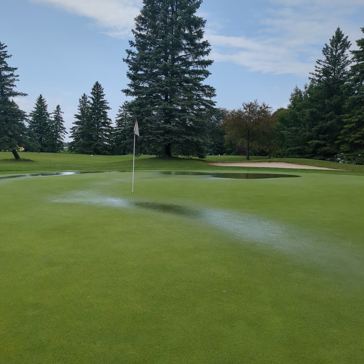 Mitchell Golf & Country Club tweet media