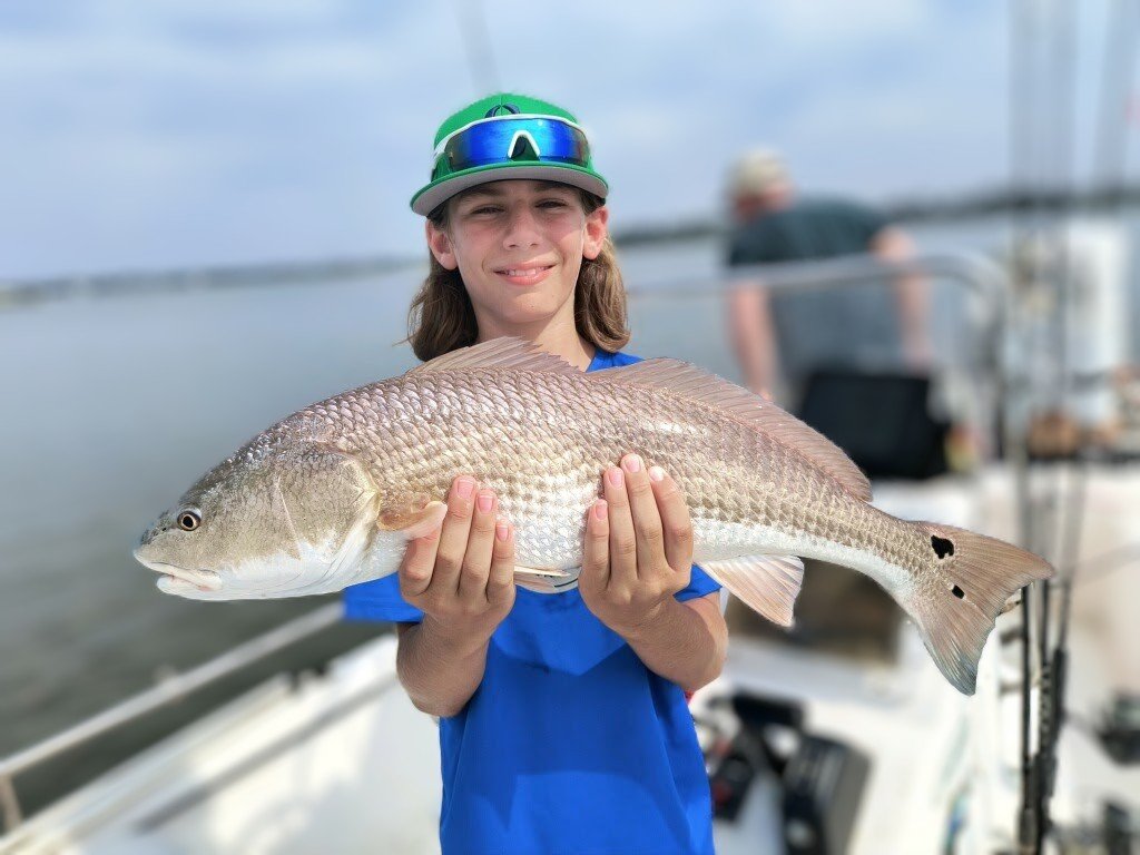 Archie said I had to blur the background so no one could pin-point his new spot.