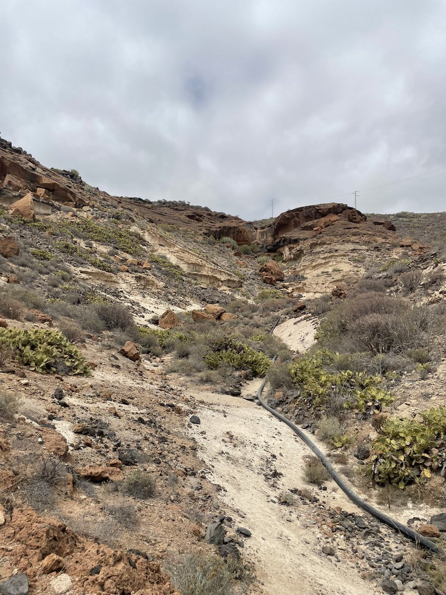 Leslie Boc tweet media