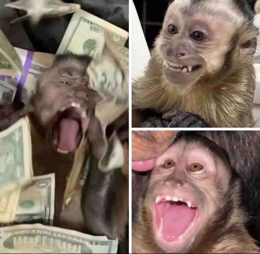 “El dinero no da la felicidad”

Yo apenas me cae un dinerito: