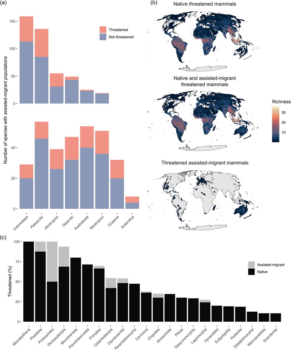 ConBiology's tweet photo. 🐾 In this article, Lundgren et al discuss preventing #extinction in an age of species #migration and #planetarychange. Learn more at https://t.co/91hc9L5KVS
#wordoftheweek #conservation #science https://t.co/81Sjw3fg7l
