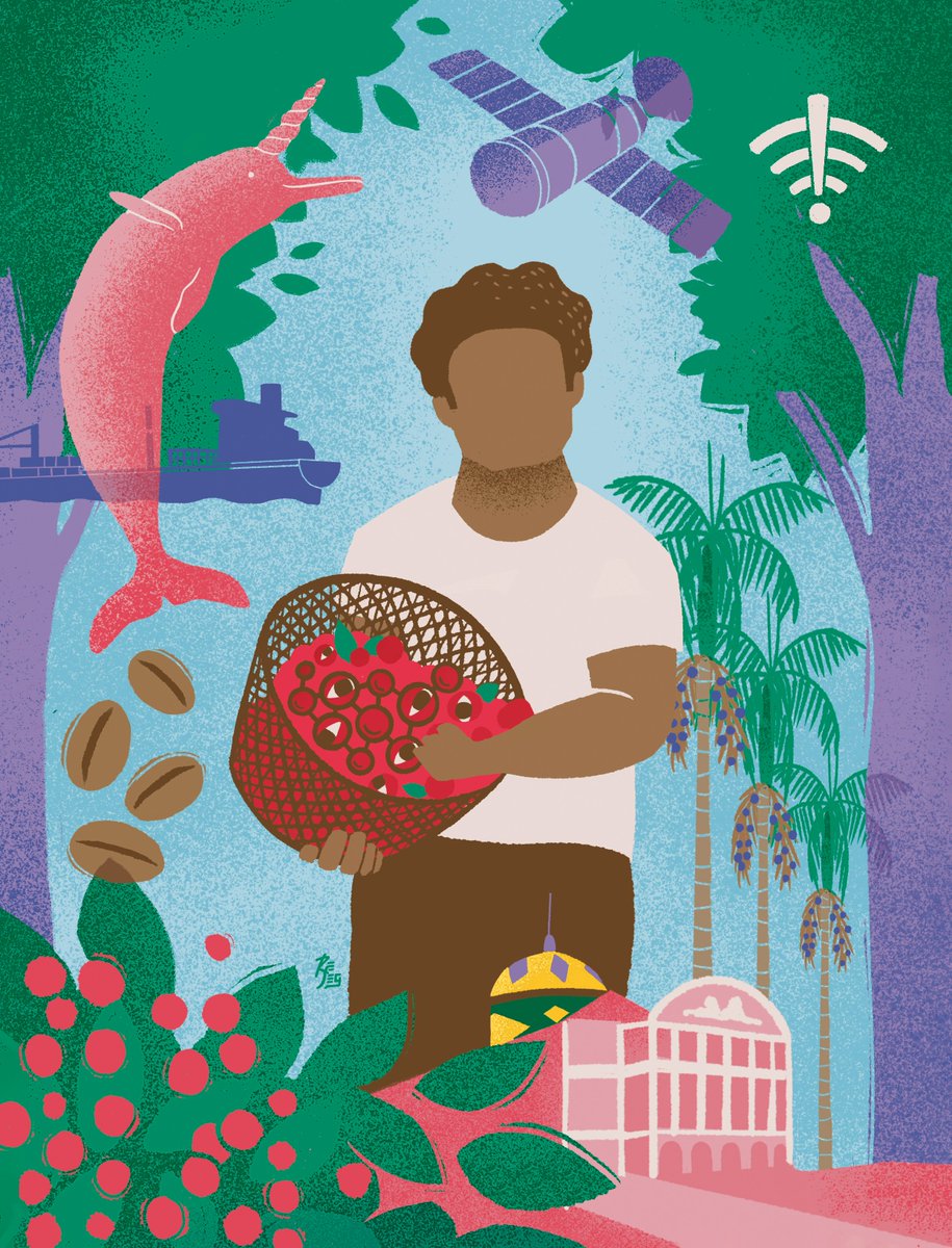 Ilustra “O Tesouro que vem da Floresta” para a edição comemorativa número 200 da Época Negócios, da Ed. Globo. Traz o mapa da Inovação nas 5 regiões, para ver de perto como a tecnologia está mudando o perfil de negócios e eu tive a felicidade de representar o nosso norte ❤️🤍💙