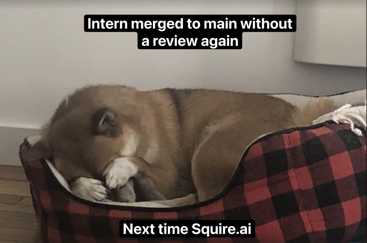 new meme template dropped and it's my dog.

Invest now: