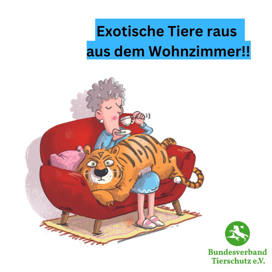 Bundesverband Tierschutz e.V. (@ev_bvt) on Twitter photo 