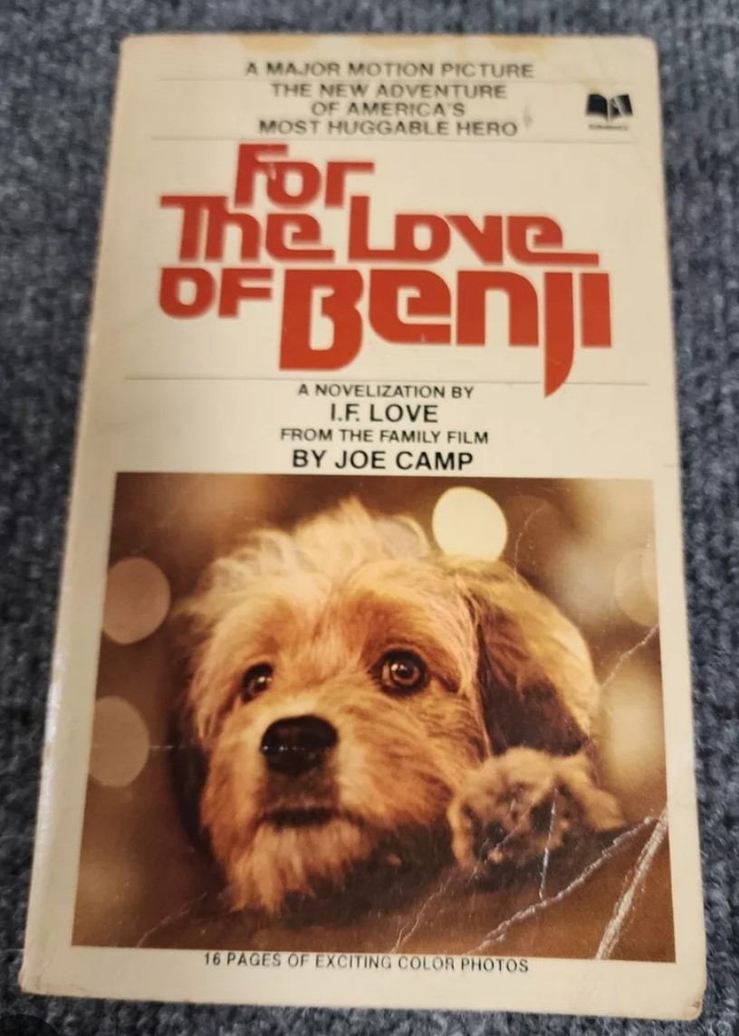 SillyCav's tweet photo. @RescueBliss Benji, someone special will find you, just like this other famous Benji.♥️♥️♥️ https://t.co/fUYPcHYL1q