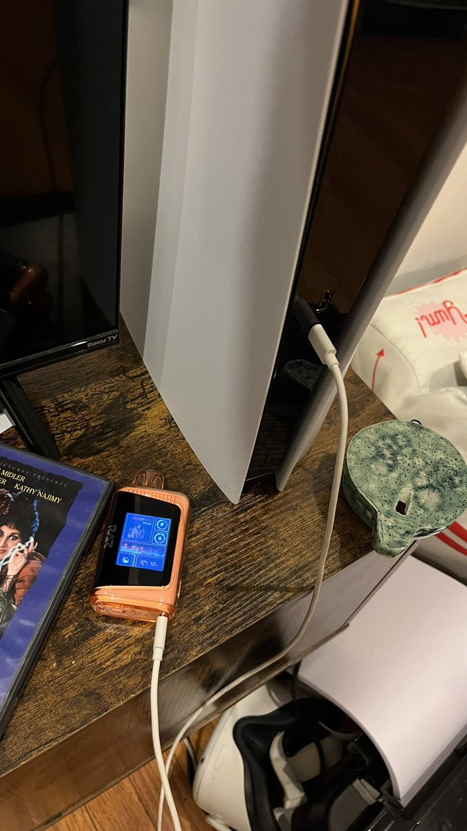 My vape tastes so much better when I charge it from my ps5. Fuck Israel