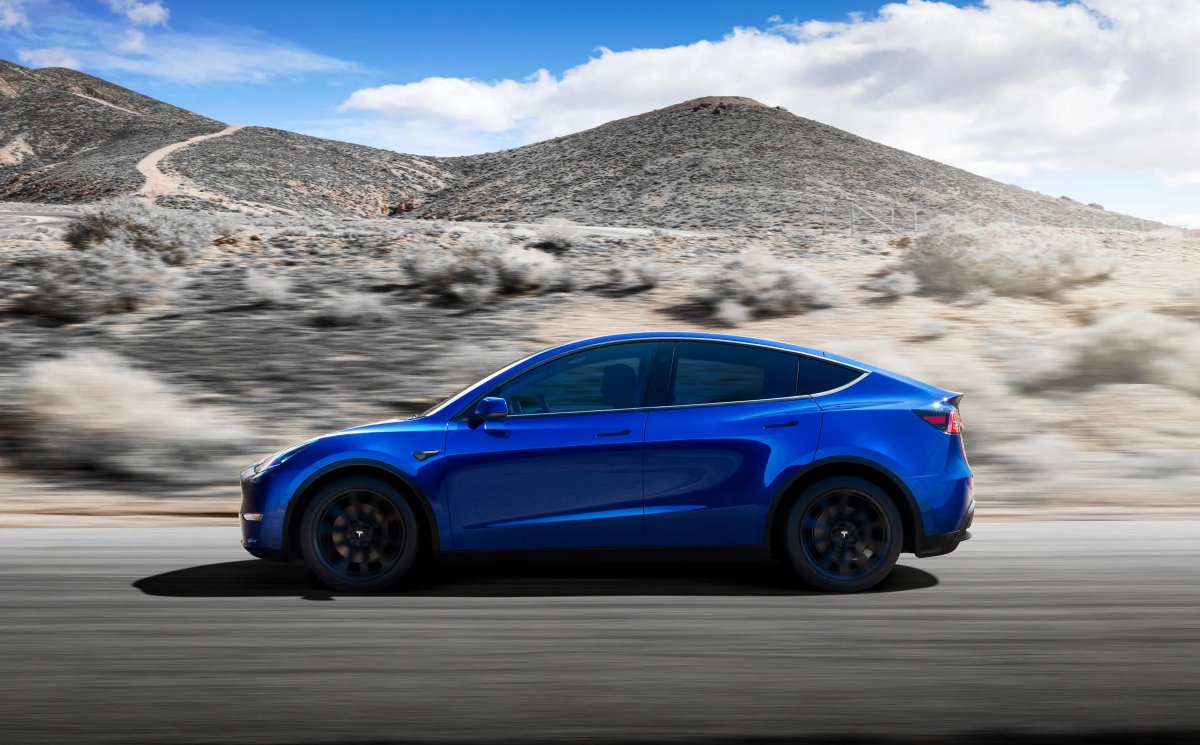 Nic Cruz Patane tweet media