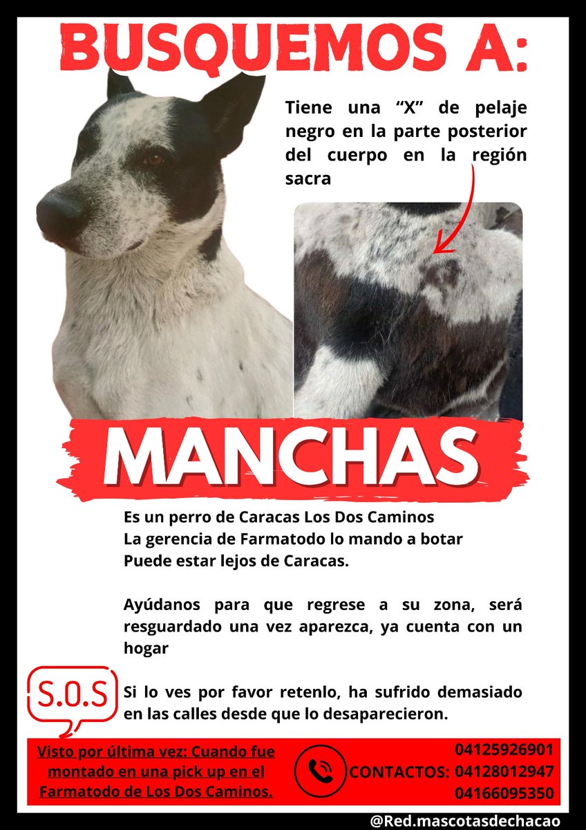 Como <a href="/Farmatodo/">Farmatodo</a> fue quien originó todo esto deberían imprimir muchísimos volantes y ofrecer recompensa.... Una búsqueda a nivel nacional #Manchas   <a href="/TareckPSUV/">Tareck El Aissami</a>
<a href="/PNBVzla/">Cuerpo de Policía Nacional Bolivariana.</a>
<a href="/PRENSACICPC/">PRENSA CICPC</a>
<a href="/DouglasRicoVzla/">Douglas Rico</a>
<a href="/SomosNevado/">MisiónNevadoVzla</a>
<a href="/farmatodo/">Farmatodo</a>
<a href="/MinpublicoVEN/">Ministerio Público venezolano</a>
<a href="/Polisucreoficia/">Policía Municipal de Sucre / Miranda</a>
