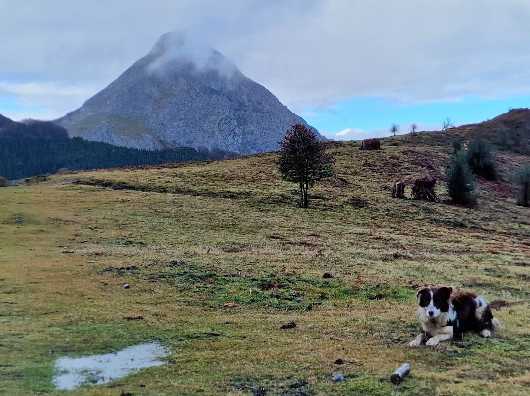 iparatx's tweet photo. @Jesusacciones_ Aquí tiene de otras veces y desde la cara sur para hacerse ud una idea
El video muestra en primer término esta montaña y la cresteria con plano final en el peligroso #Mugarra
Abrazote amigo
#Anboto https://t.co/S0SCHpoapA