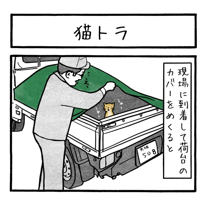 「猫トラ」
寒い時期は必ずどこか猫がいます
 #工務店の日報 