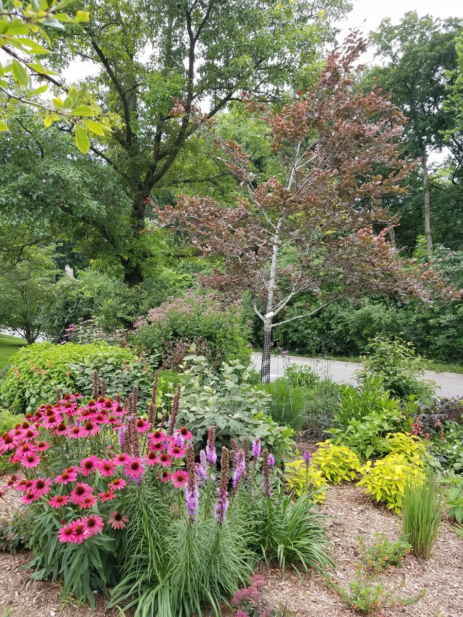 The Library contributed to the Michigan Library Love blog highlighting interesting things at libraries all around our great state. We highlighted our 13 signature, award-winning gardens which are open year-round for public enjoyment. Visit the blog at bit.ly/3Y1wy1l.