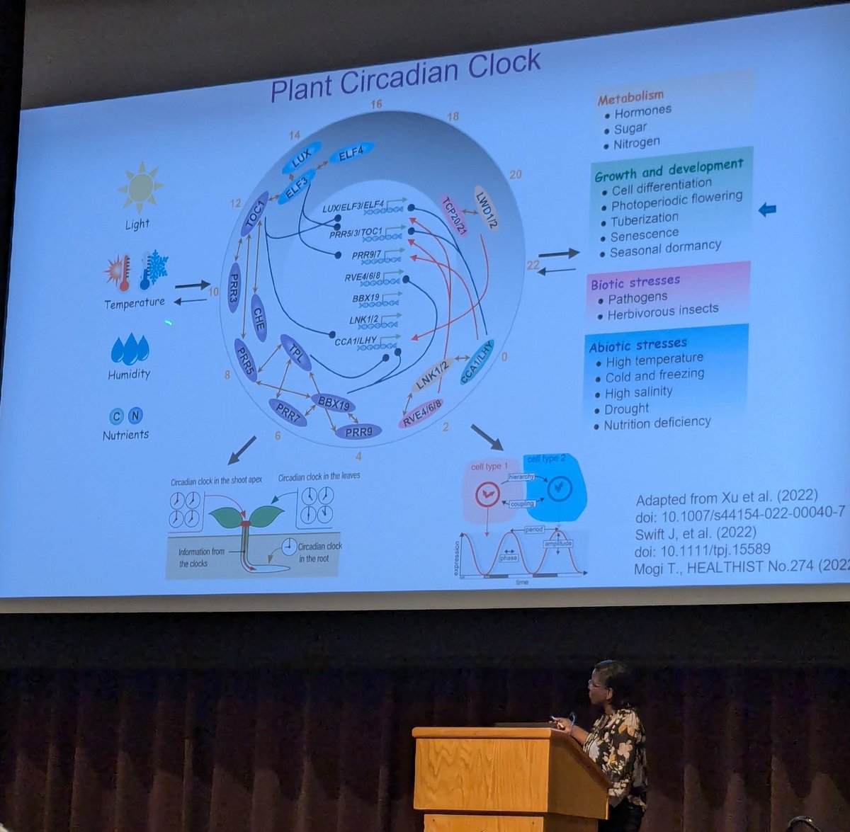 mary williams tweet media