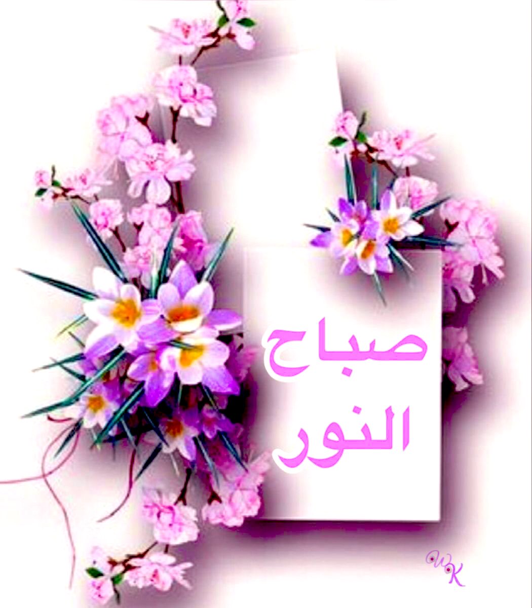 عيون،الغلا on X: صباح النور💜💜 t.coGKlkm1uCZH  X