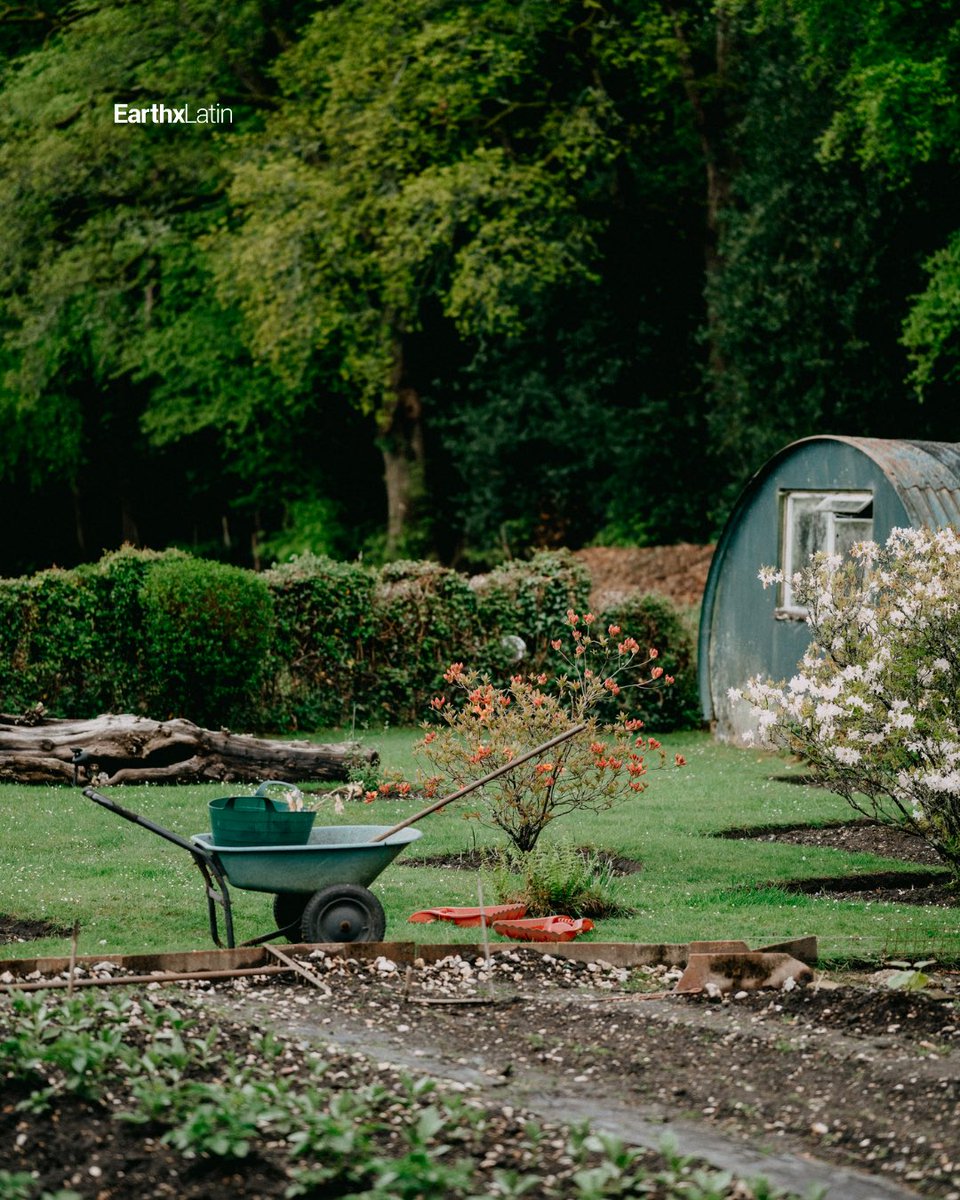 EarthxLatin's tweet photo. 🌿 La jardinería es un acto de amor y cuidado hacia nuestro entorno. ¡Vamos a cultivar no solo plantas, sino también un futuro más verde! 🌍💚

#Jardinería #Naturaleza #CuidadoDelMedioAmbiente #MargaretRoach #Sostenibilidad #AmorPorLaTierra #CultivandoFuturo #VidaVerde https://t.co/QK0BvDB5mb