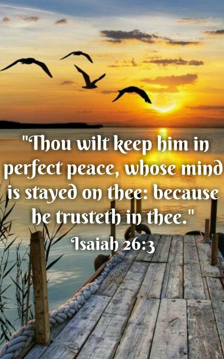 SunitaHines's tweet photo. ❤️My dear friends,

When you keep your mind tuned to the Lord's perspectives and depend on Him to tear down strongholds and deliver you, 
He promises to keep your mind in perfect peace.
#AMEN❤️ https://t.co/ALRywxA6oh