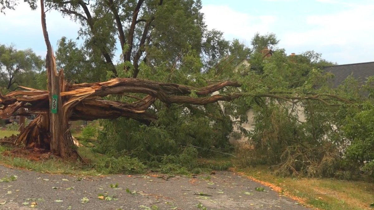 Aubrey Urbanowicz tweet media