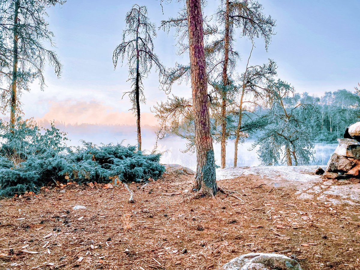 chase_the_high's tweet image. First light